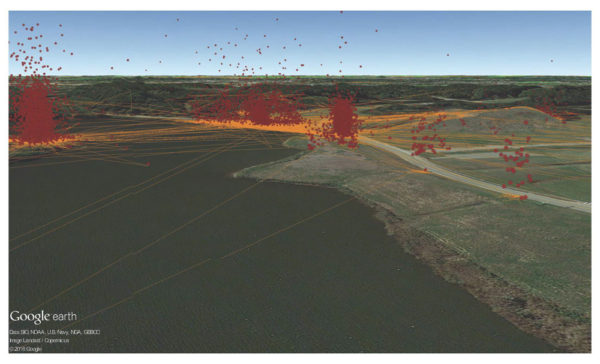 3D tracking pattern for a single bald eagle 