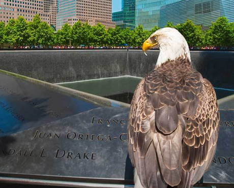 Challenger’s Amazing Role Following 9/11