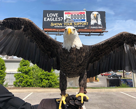 Challenger Featured On Tennessee License Plate