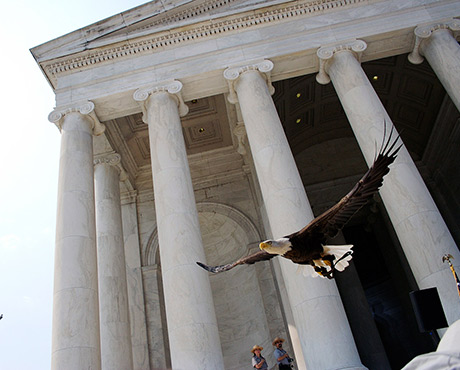 Challenger Flies at Bald Eagle Delisting Ceremony