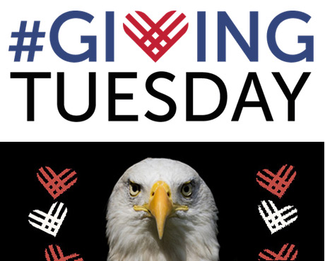 Giving Tuesday 2019