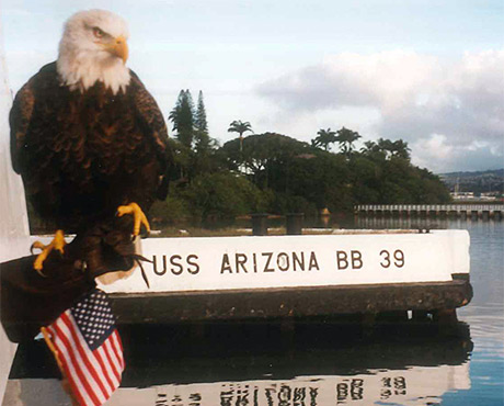 Challenger Flies at Three Consecutive Pro Bowls in Hawaii