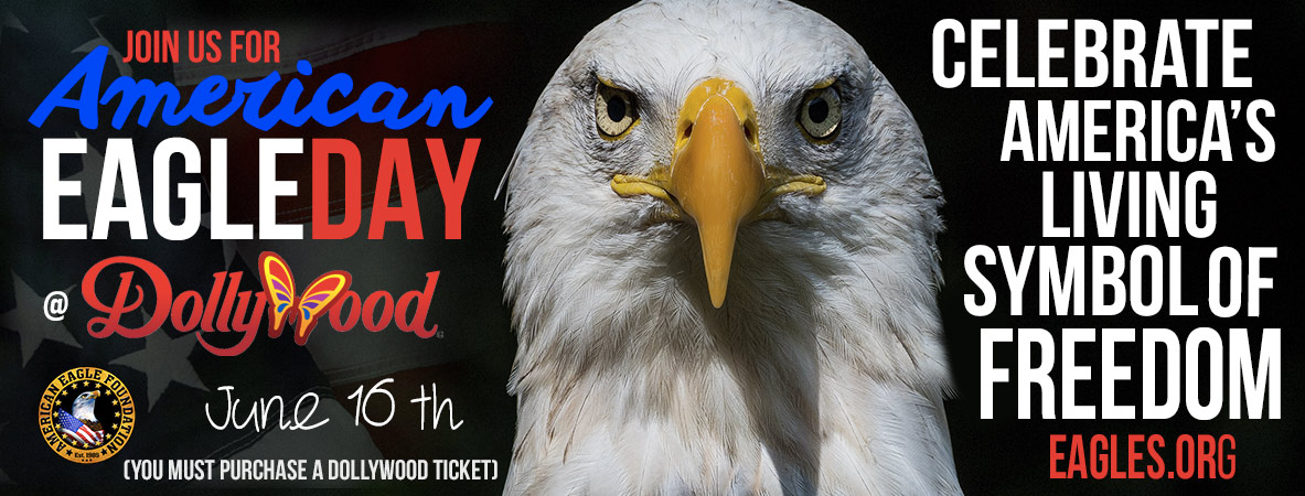 Join us for American Eagle Day 2018!