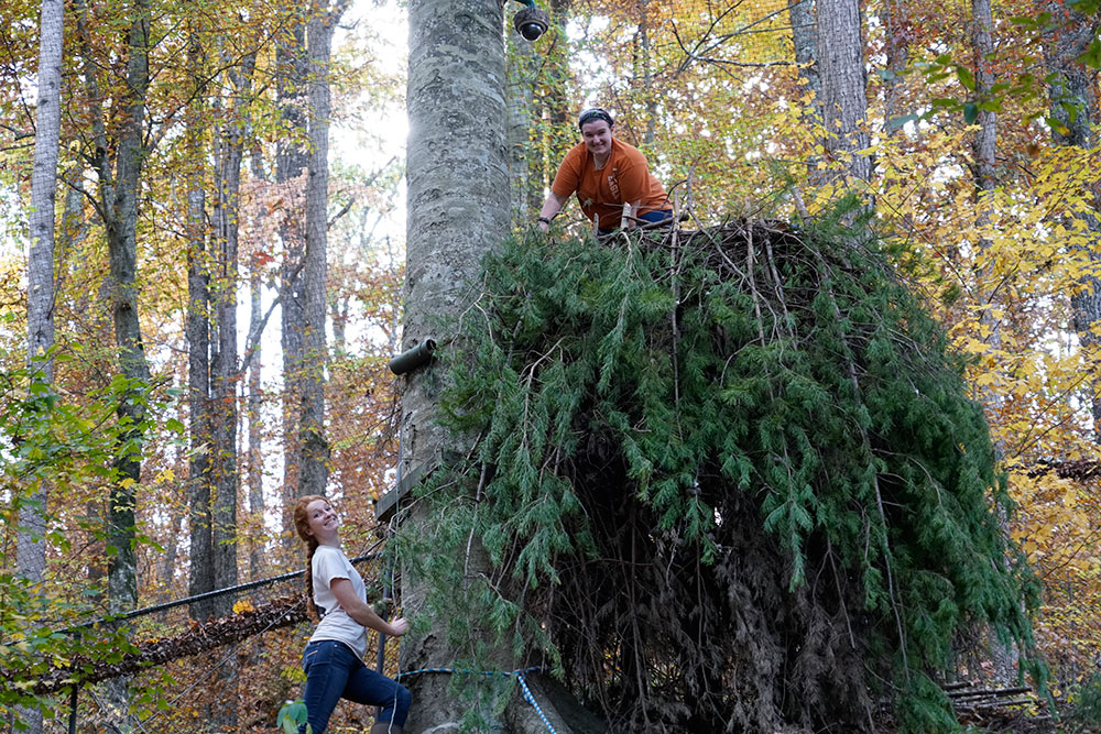 Madison Abell and Katelyn Dotson refurbish a nest.