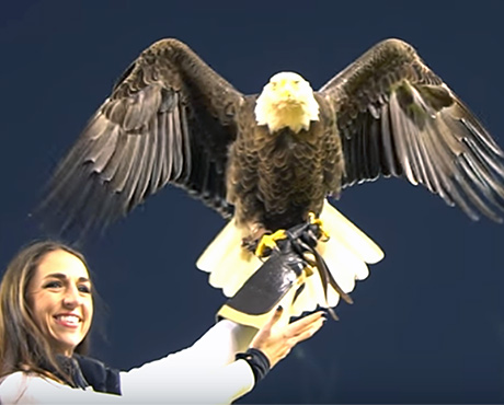 Challenger Flies at NFC Championship Game