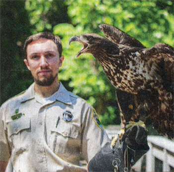 Rehabbed eagle at Radnor Lake