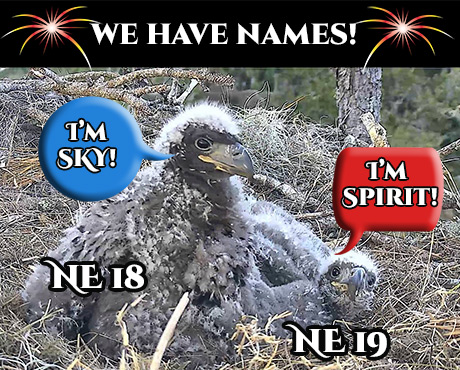 Introducing Sky & Spirit